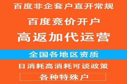 百度推广返点攻略：成功案例分享与启示